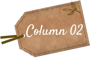 Column 02