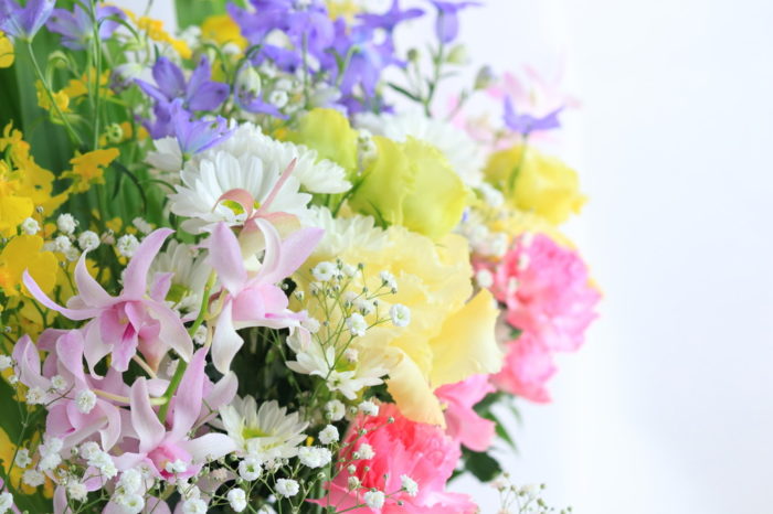 ペット（犬・猫）のお供え花にはどんな種類を選べばいい？