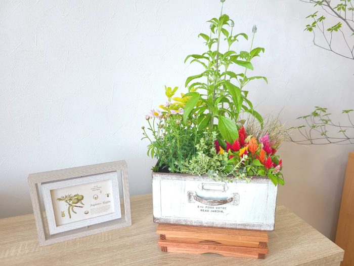 季節の寄せ植え鉢