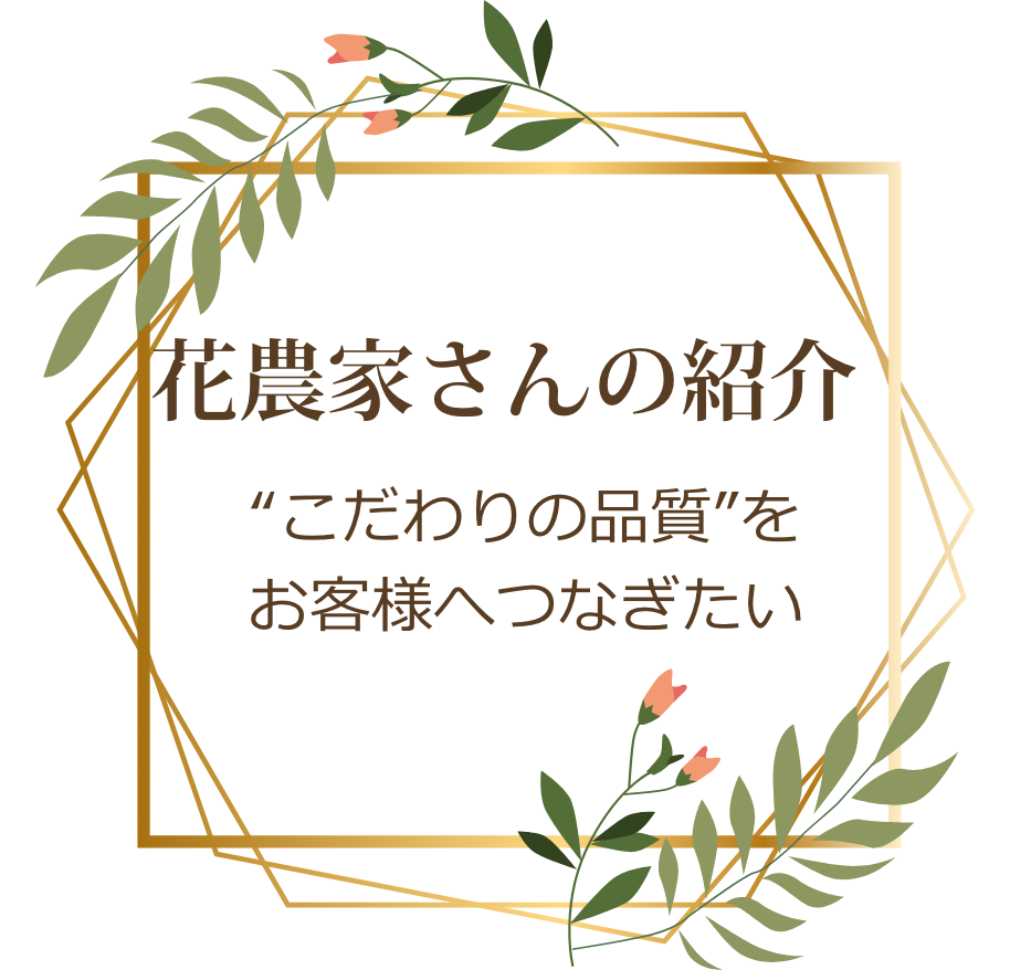 花農家さんの紹介