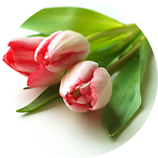 3月の誕生花