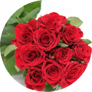 6月の誕生花