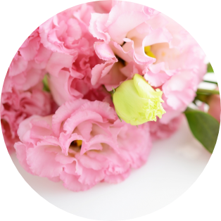 8月の誕生花