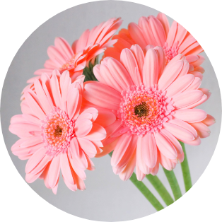 10月の誕生花