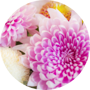 11月の誕生花