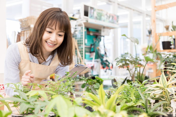引越し祝い・新築祝いで喜ばれる観葉植物10選！