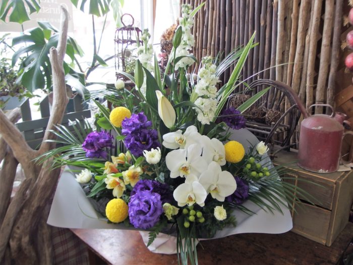 安らかに　胡蝶蘭をそえて