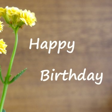 誕生日に贈るお花特集