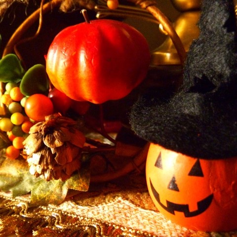 ハロウィンに飾るお花特集