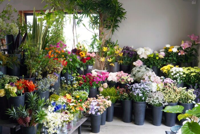 盛岡市で人気の花屋8選！盛岡には素敵なフラワーショップがたくさん！