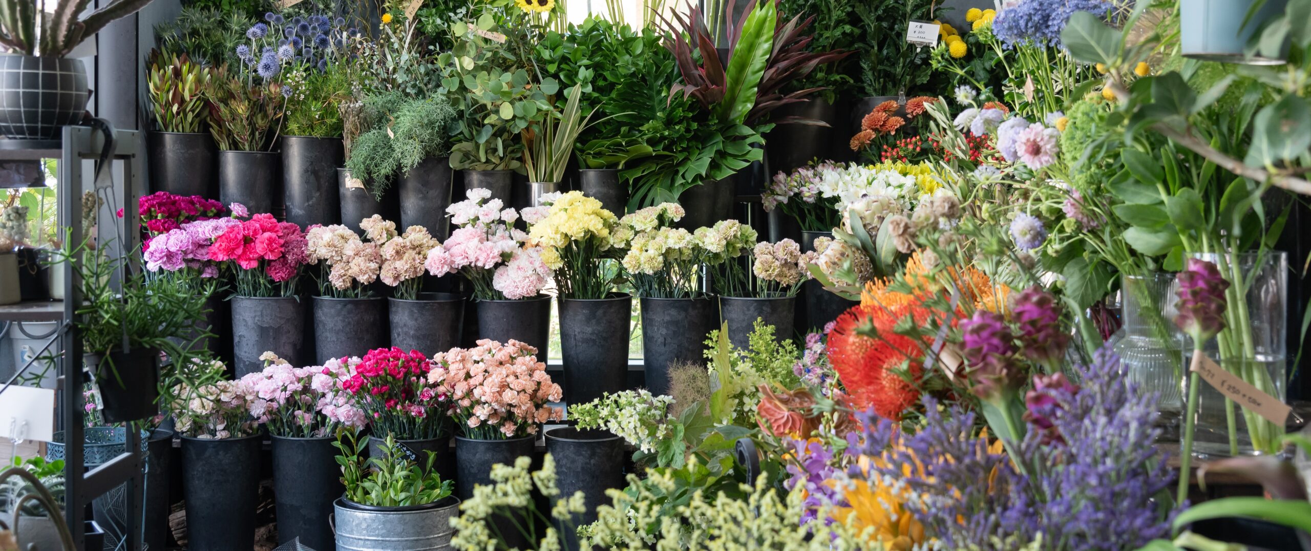 ホワイト系のお花