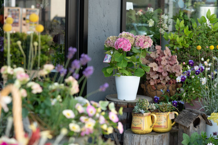 八戸市へお花のお届けが可能な人気の花屋8選！八戸には素敵なフラワーショップがたくさん！