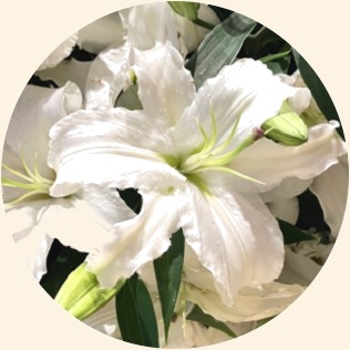 7月の誕生花